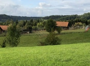 Bau einer Vereinshütte