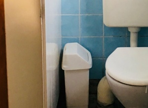 Erneuerung der Damentoilette