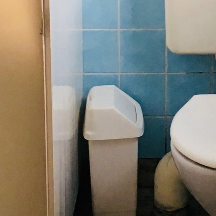 Erneuerung der Damentoilette