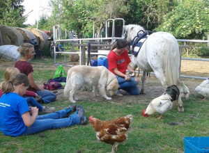 Tierisch stark! Kinder und Tiere – unser Erfolgskonzept