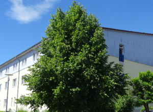 Zeitintensive Betreuung in Pflegeheimen