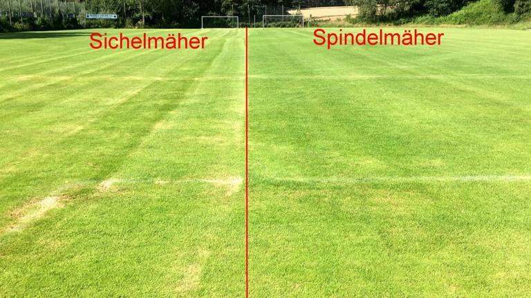 Spindelmäher für SV Schreez