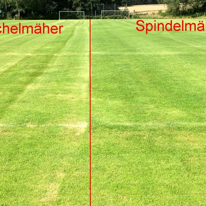 Spindelmäher für SV Schreez