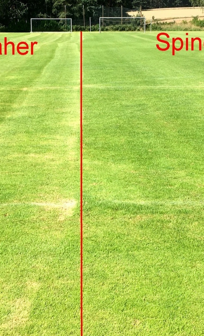 Spindelmäher für SV Schreez