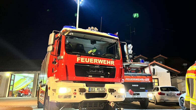 Große Ansicht vom Video