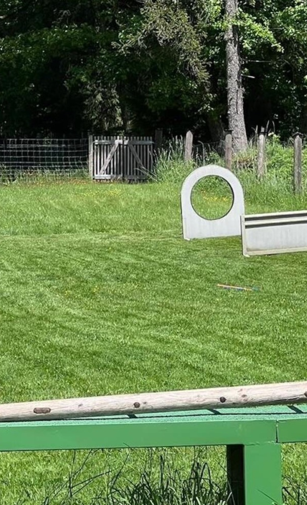 Rasenmäher für VDH Vogt