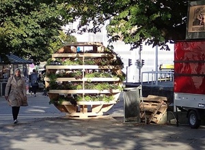 Wir bauen einen "Growroom"!