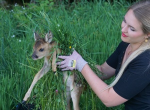 Video - Drohnentechnik für die Rehkitzrettung
