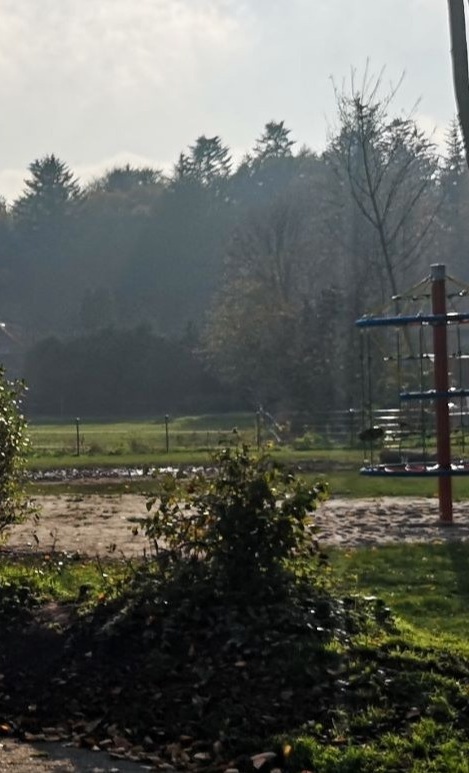 Outdoor Hängematte(n) für die Waldschulkids