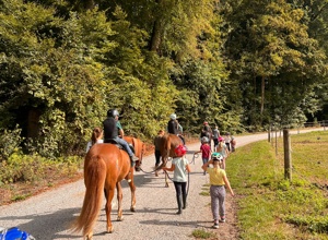 Schulpferd RuFV Mindelheim