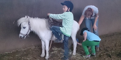 Therapeutisches Reiten