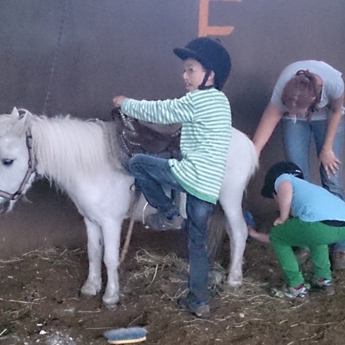 Therapeutisches Reiten