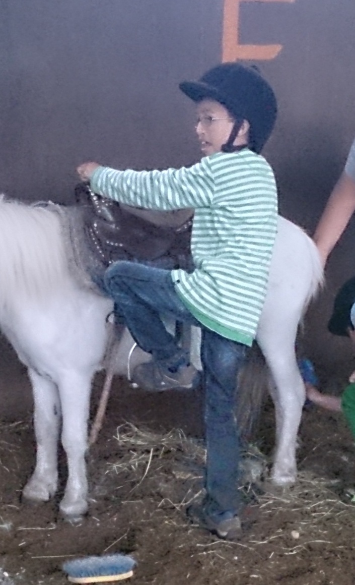 Therapeutisches Reiten