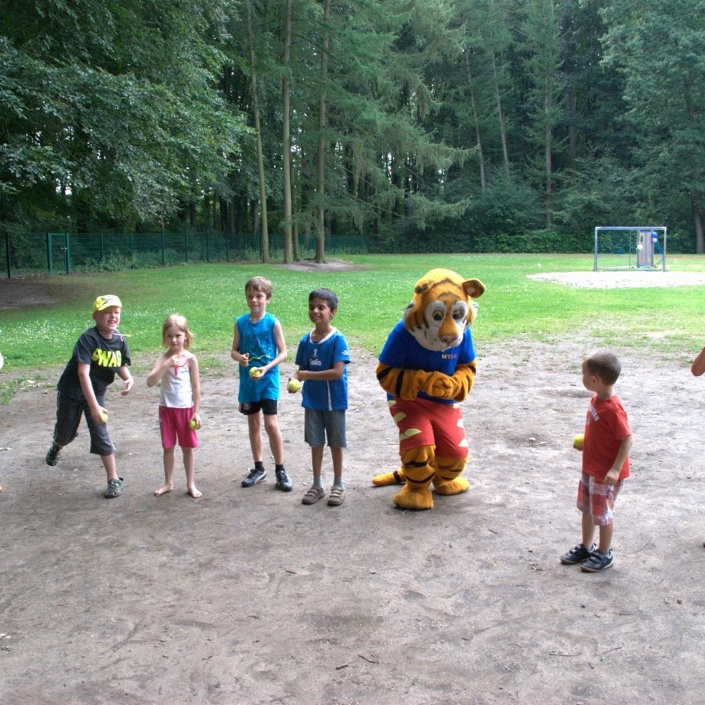 Ein Dschungel für unsere "Turntiger"