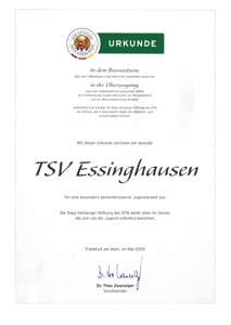 Partnerbild - Auszeichnung Jugendarbeit DFB