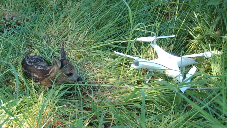 Rehkitzrettung 2.0 - Technik für Tierschutz