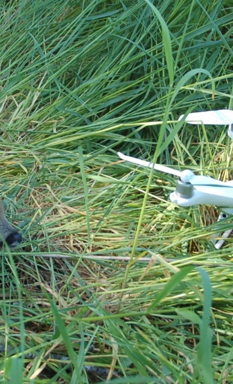 Rehkitzrettung 2.0 - Technik für Tierschutz