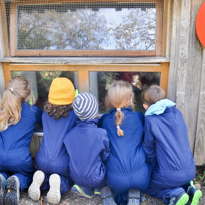 Umweltbildung für eine grüne Zukunft an Schulen