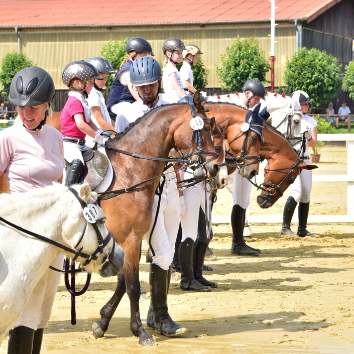 Reitturnier Schönfeld 2025