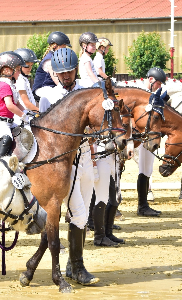 Reitturnier Schönfeld 2025