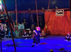 Speinshart goes Zirkus