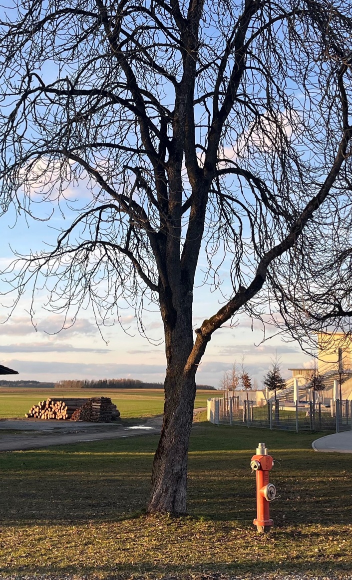 Naturbewegungsplatz Weil