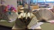 Bookart - Ich war einmal ein Buch!