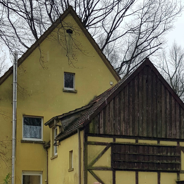 Dacherneuerung Honighaus