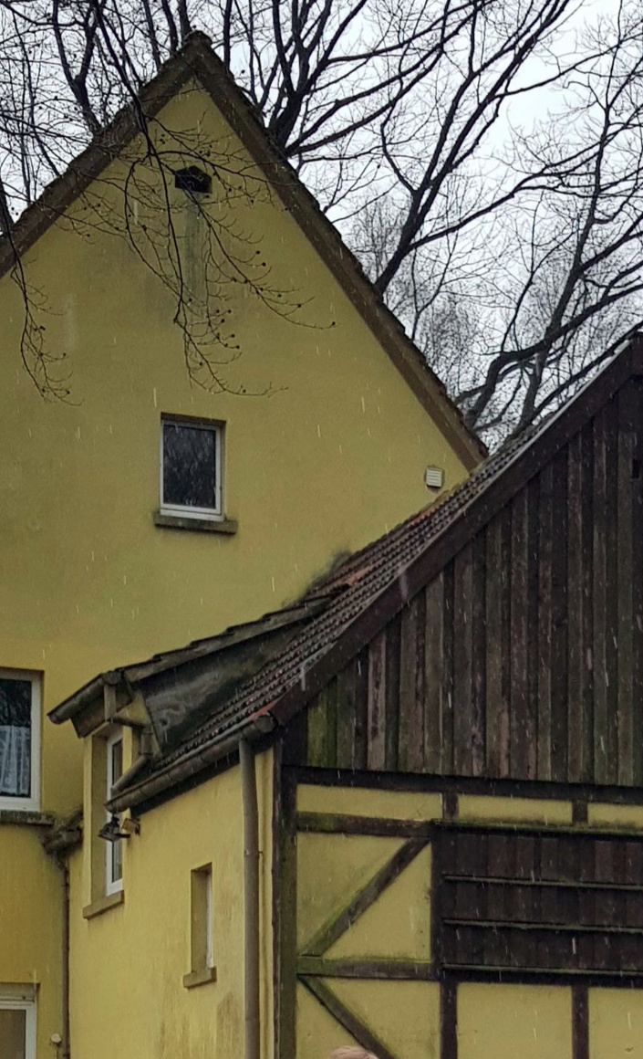 Dacherneuerung Honighaus