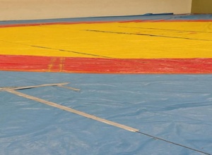 Ohne Matten kein Training - helft uns Rheinbachs Ringer zu retten