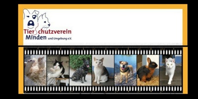 Quarantäneboxen für Katzen