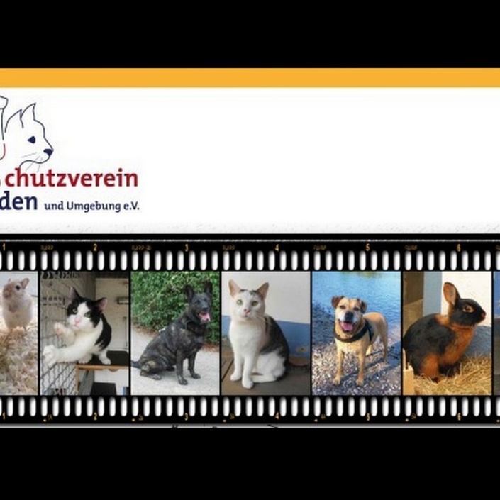 Quarantäneboxen für Katzen