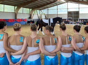 Verstärkung für unser Pferdeteam