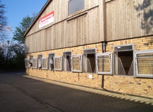 Sanierung des Reithallenbodens