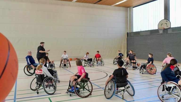 Rollis für unsere Sitzriesen