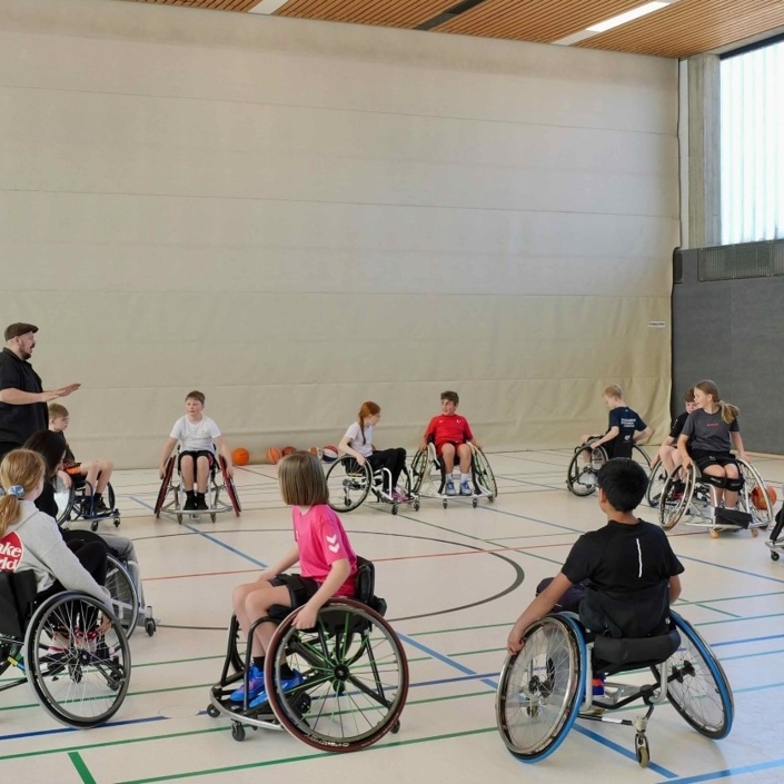 Rollis für unsere Sitzriesen