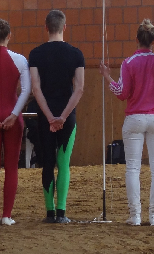 Ein neues Voltigierpferd für unsere talentierten Voltigierer