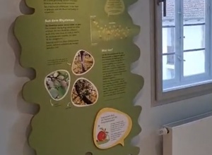 Natur Werkstatt Streuobstwiese