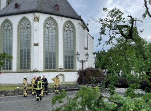 Wiederbegrünung Rathausplatz