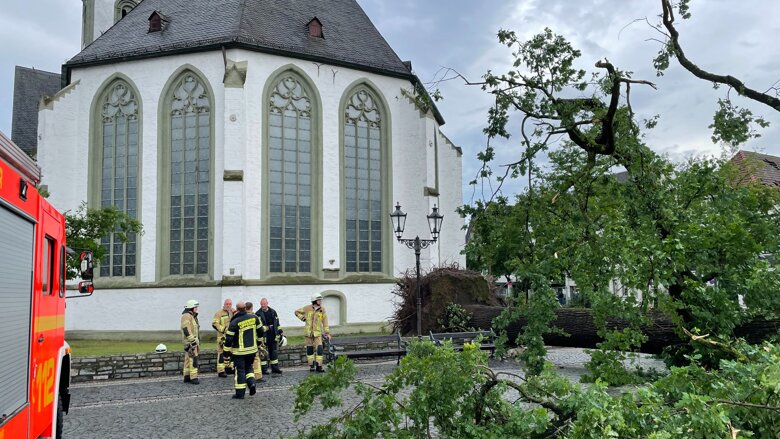 Große Ansicht vom Video