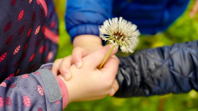 Familienpatenschaften Stiftung Ambulantes Kinderhospiz München