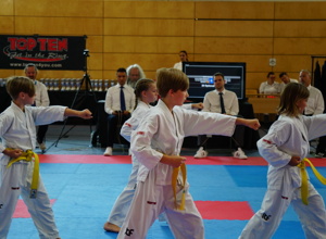 Trainingsequipment für Taekwon-Do/Kickbox Abteilung
