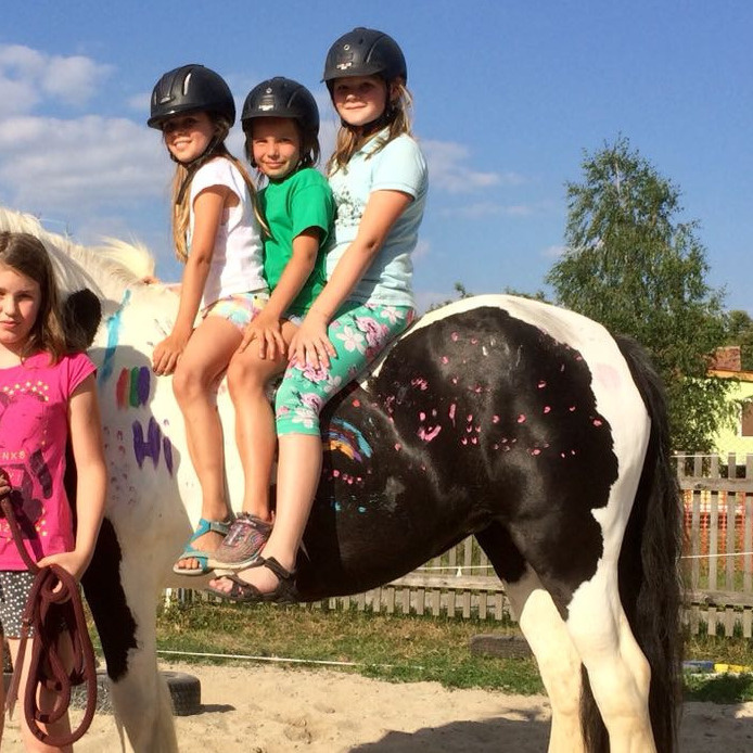 Turnierausstattung für unsere Voltikids