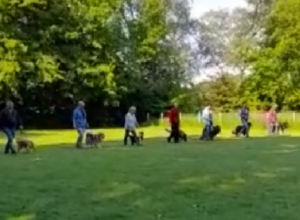 Rasenmäher für den PHV Delmenhorst