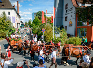 Corona - Laurenzi-Ausfall - Martinsbräu