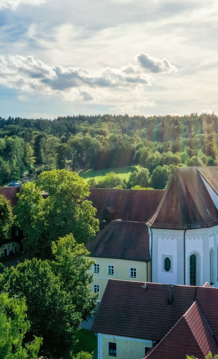 Orgelsanierung Pfarrkirche St. Salvator
