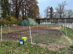 Sanierung der Winterpaddocks für Schul-, Freizeit- und Turnierpferde