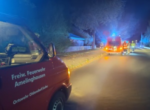 Neues MTF für die Freiwillige Feuerwehr Oldendorf/Luhe
