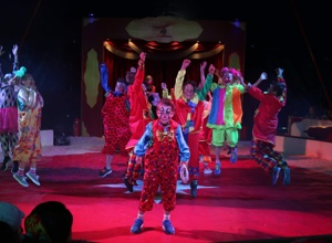 Kinder machen Zirkus