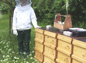 make a bee happy!